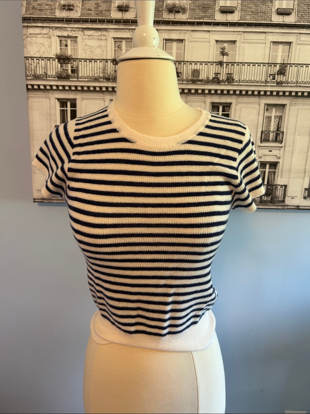 J. Crew Navy and White Striped Short Sleeve Knit Tee